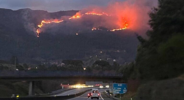 Incêndio fora de época consome área florestal em Ponte de Lima e mobiliza dezenas de bombeiros Incêndio florestal fora de época em Ponte de Lima